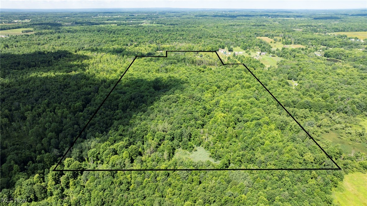 876 Clay Road Jefferson, OH 44047 - Photo 6 of 18 Aerial view of property's location with a heavily wooded area and property boundaries highlighted