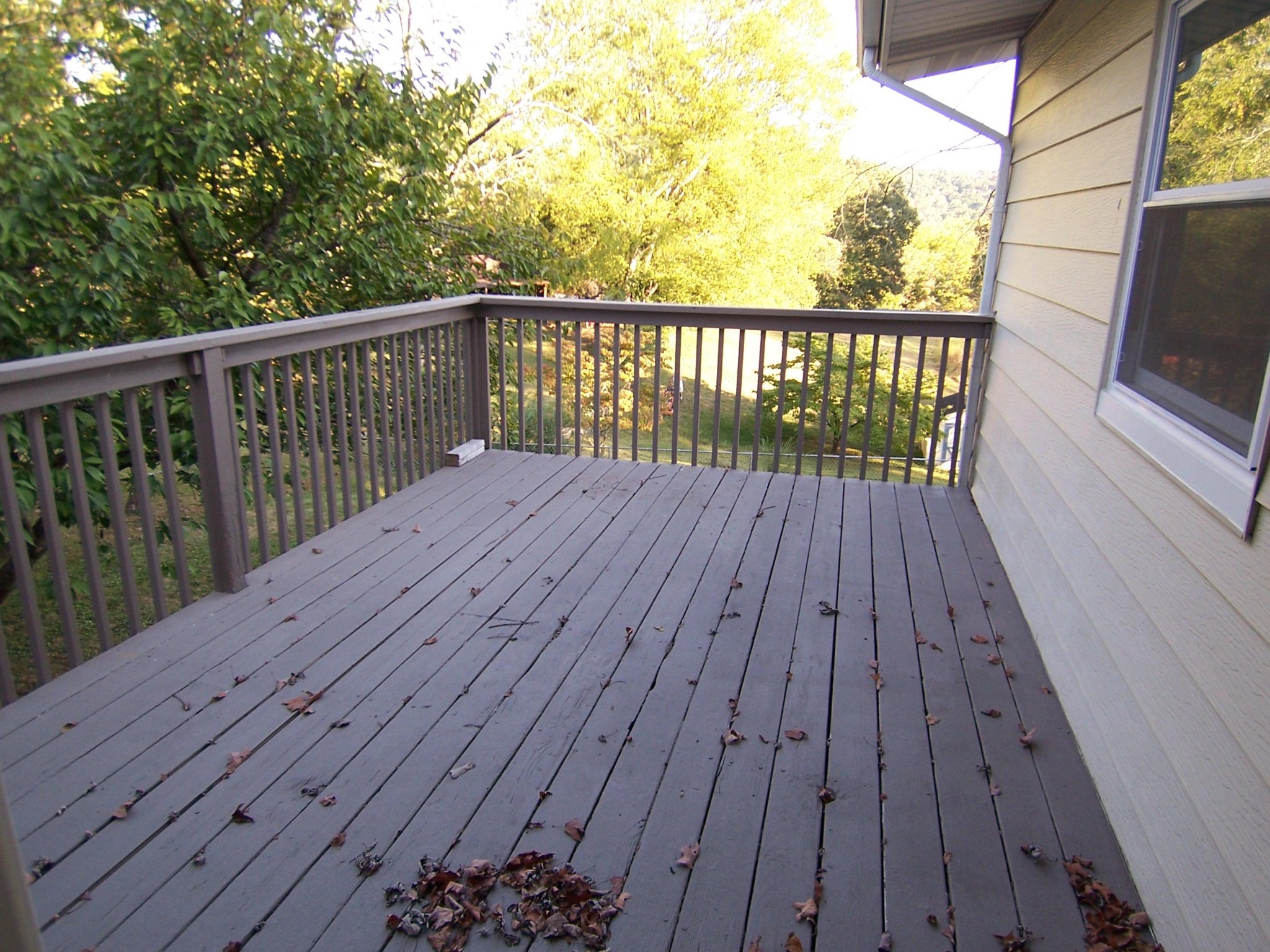 Gallery Image 7