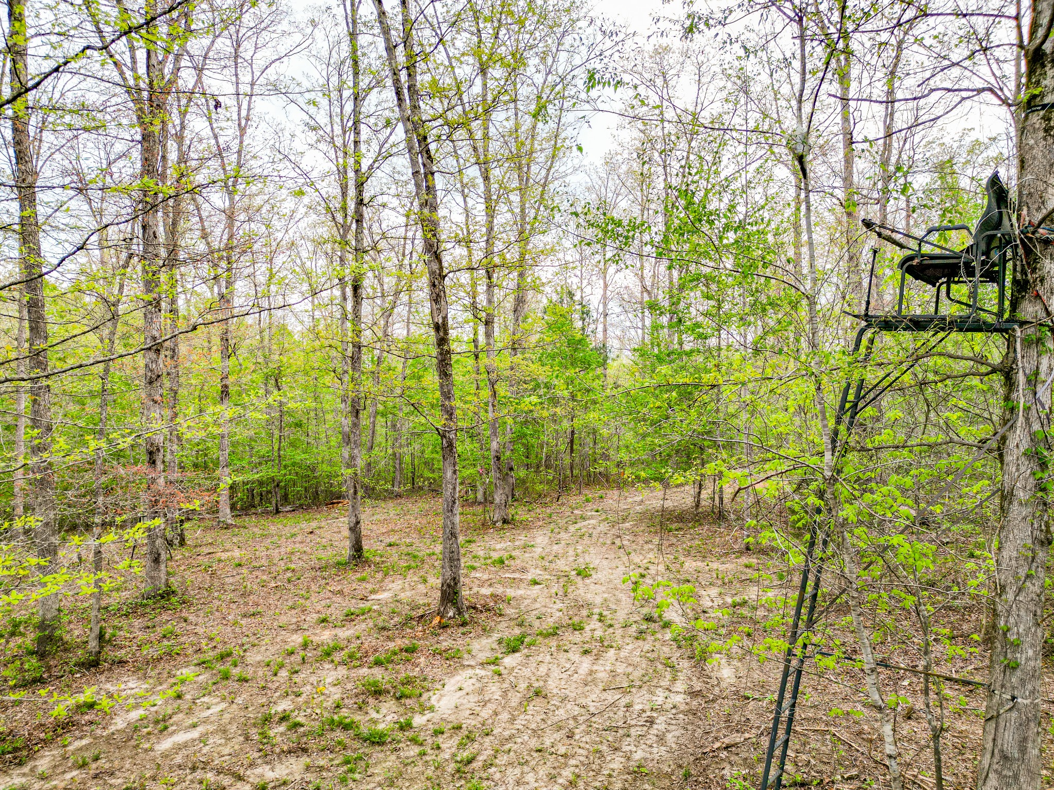 920 Mason Bates Bend Road Centerville, TN 37033 - Photo 69 of 82 Gallery Image 69