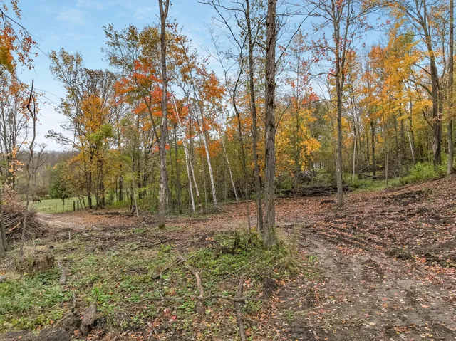 $67,500 | Tbd Lot 1 Tbd Avenue, Glenwood City, WI 54013