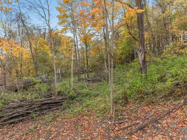 $67,500 | Tbd Lot 1 Tbd Avenue, Glenwood City, WI 54013