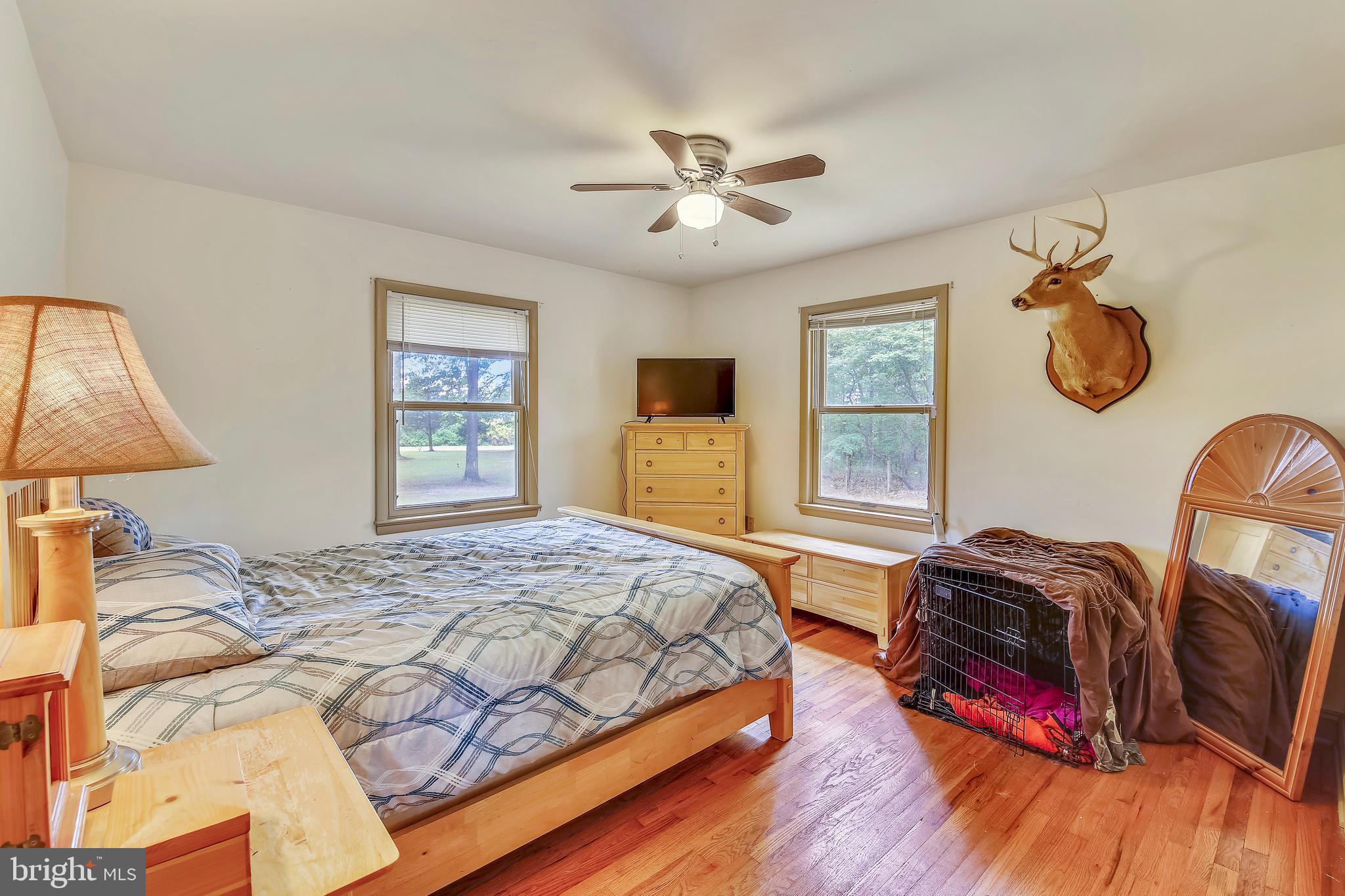 2306 Busic Church Road Marydel, MD 21649 - Photo 13 of 30 Bedroom 3