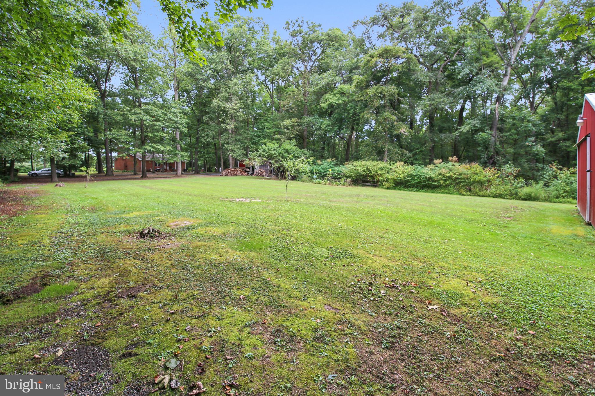 2306 Busic Church Road Marydel, MD 21649 - Photo 24 of 30 Rear Open Space
