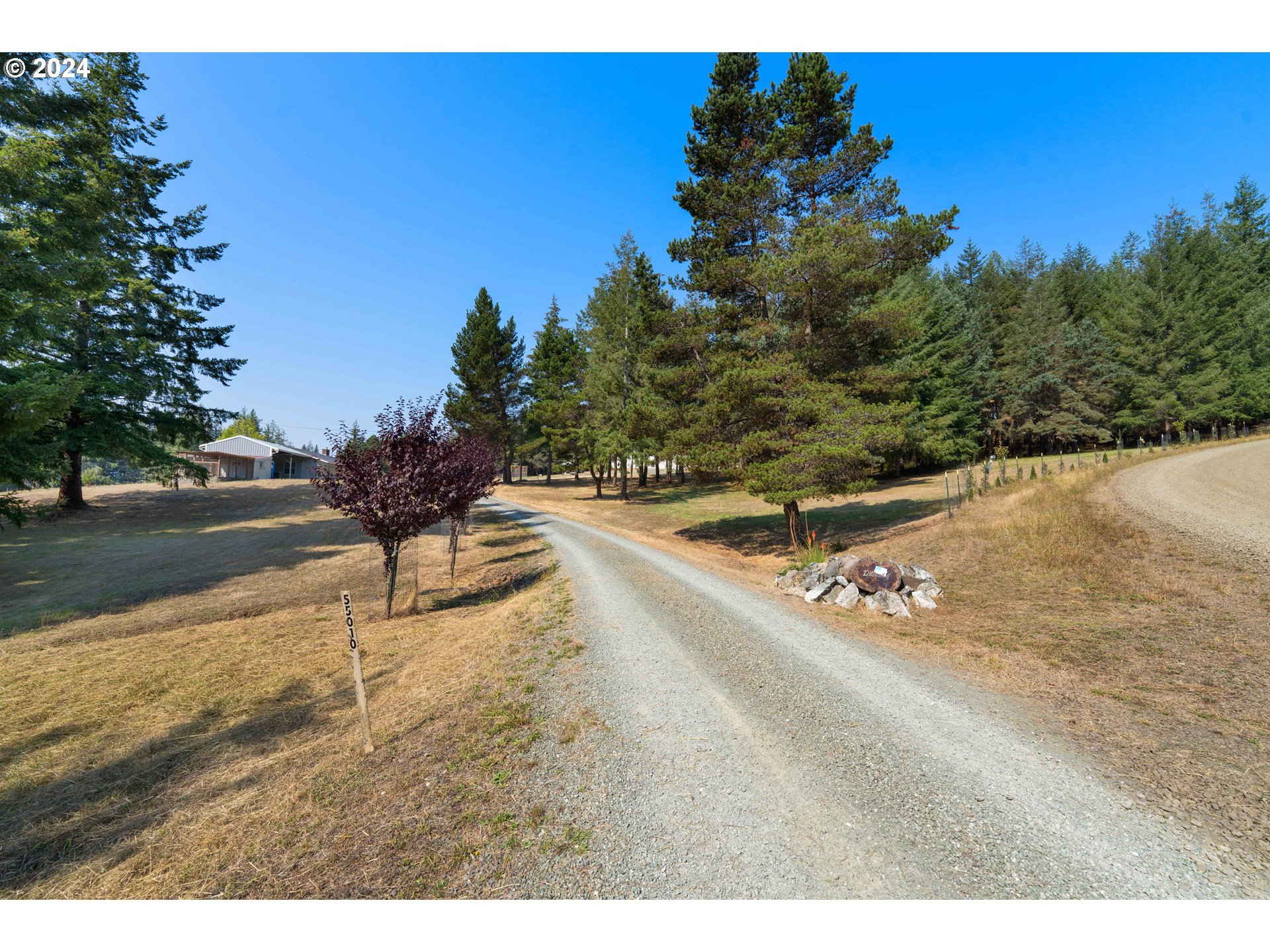 55010 Maple Heights Road Coquille, OR 97423 - Photo 17 of 46 Gallery Image 17