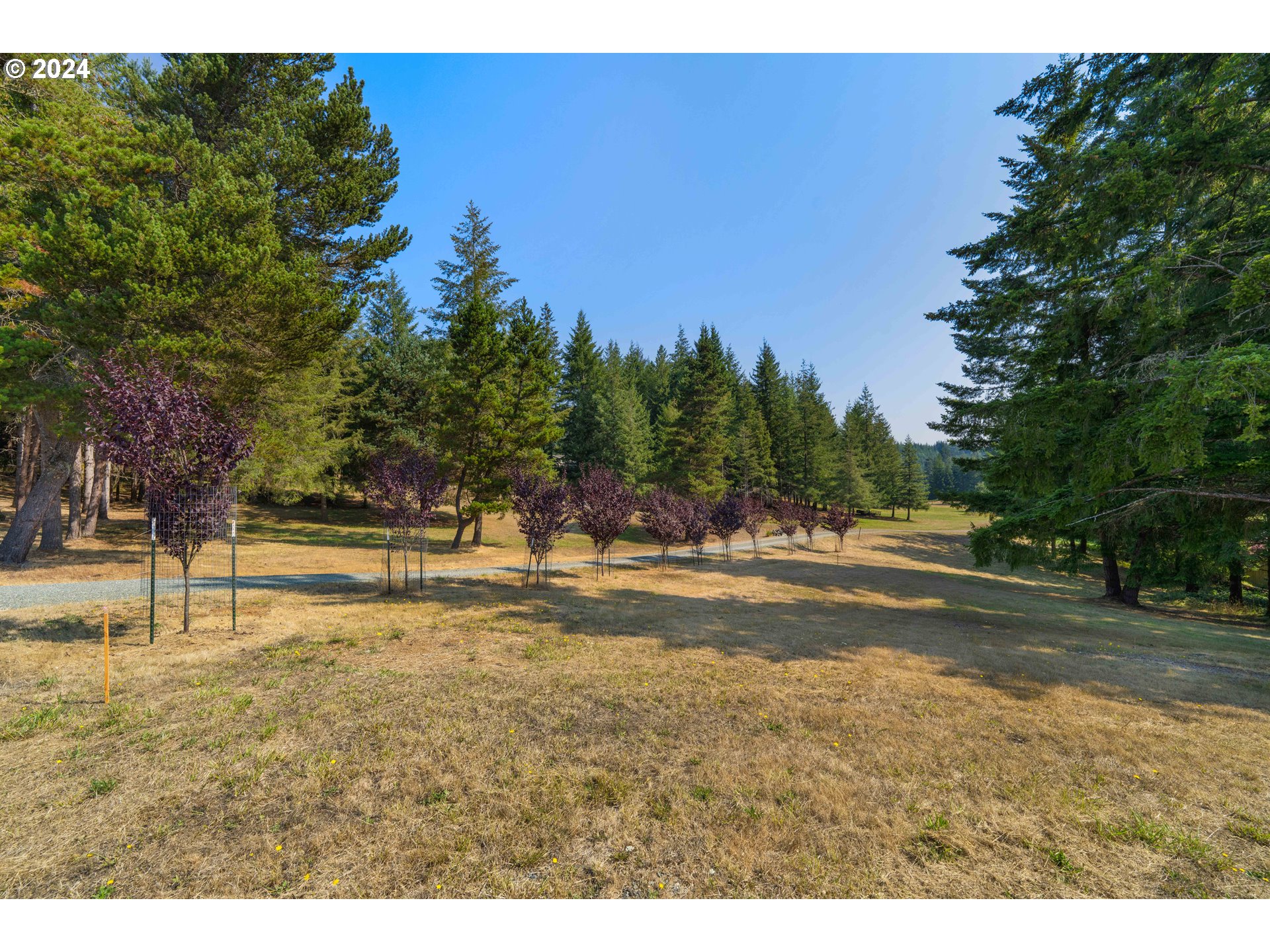 55010 Maple Heights Road Coquille, OR 97423 - Photo 6 of 46 Gallery Image 6