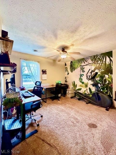 33945 Mills Road North Ridgeville, OH 44039 - Photo 5 of 11 Carpeted home office with ceiling fan and a textured ceiling