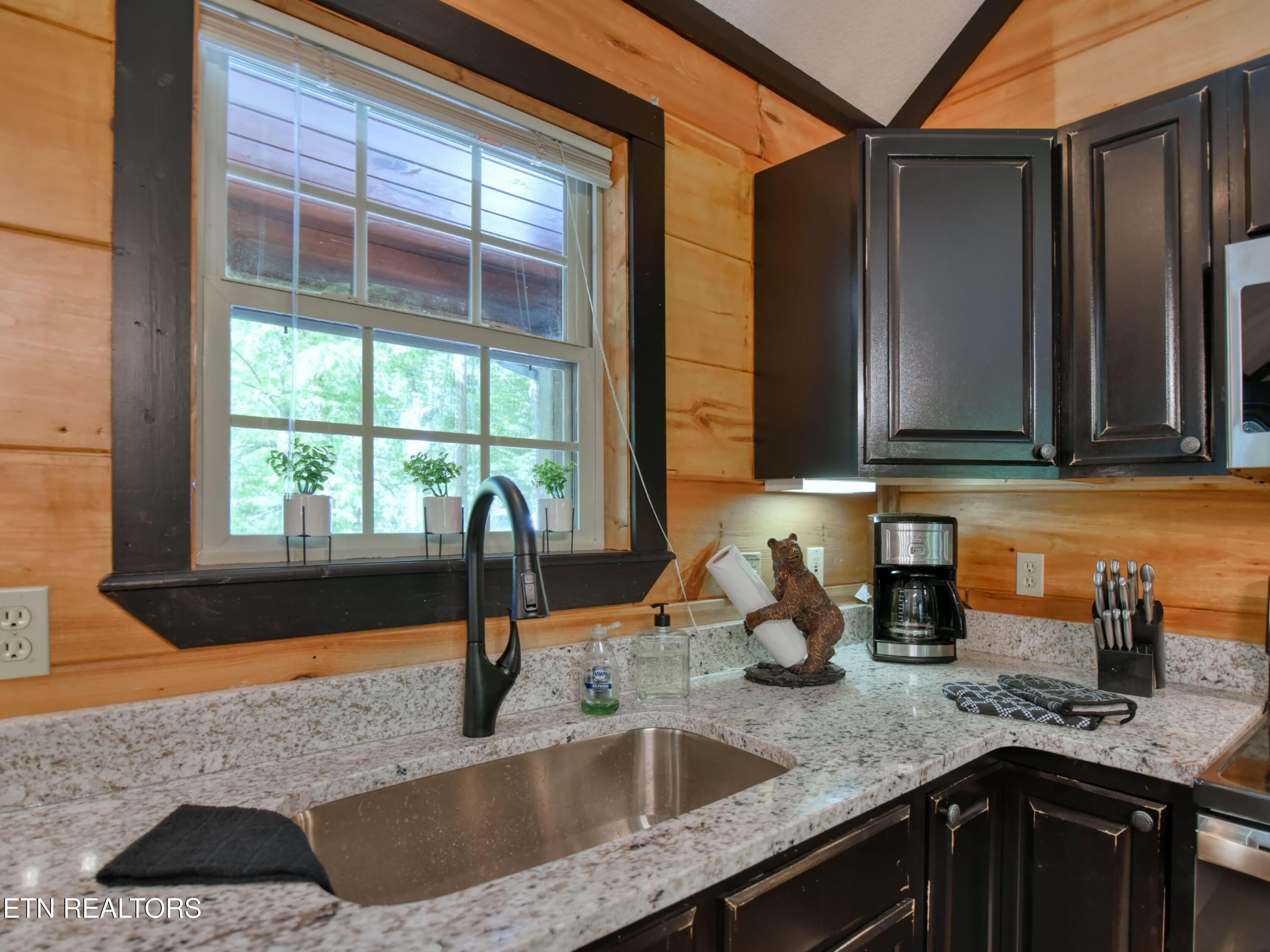 380 Laurel Road Townsend, TN 37882 - Photo 11 of 35 11_beyc6a1ef8f59cecc