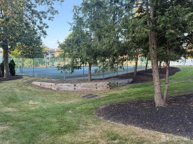 a view of a tree in the middle of a yard