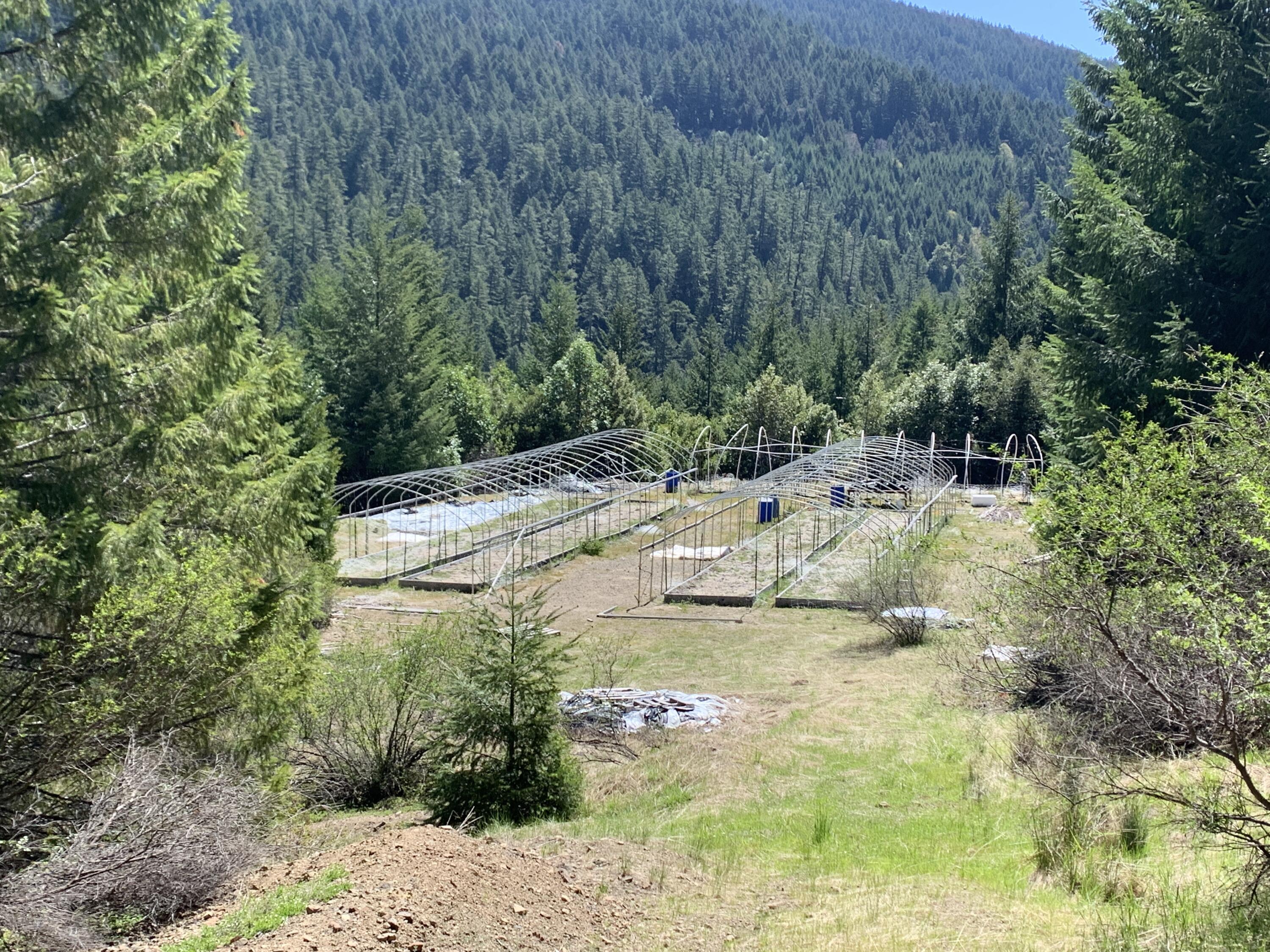 19265 Usfs Rte 1 Korbel, CA 95550 - Photo 6 of 23