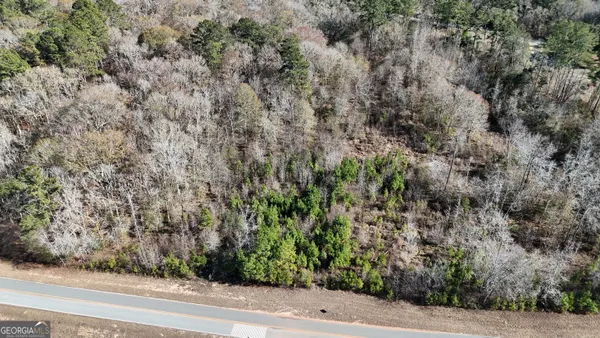 a view of a yard and a trees
