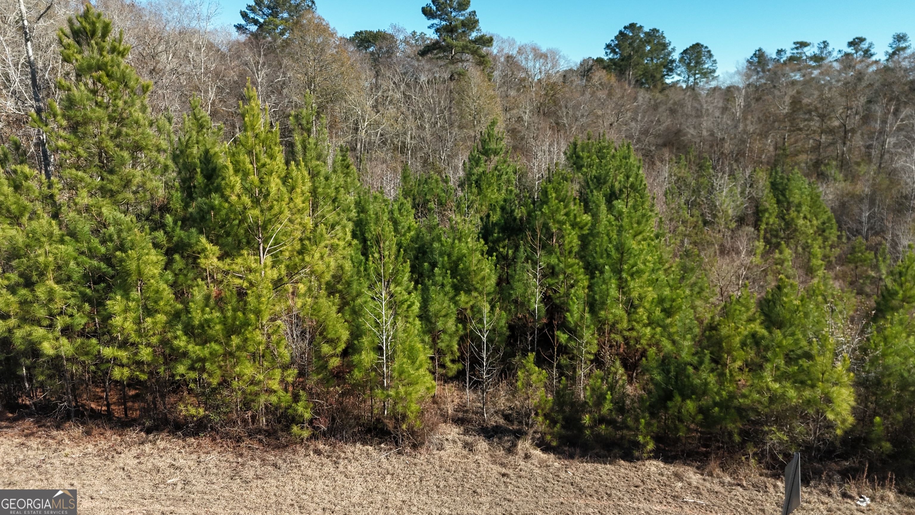 60 Anderson Road Claxton, GA 30417 - Photo 2 of 5