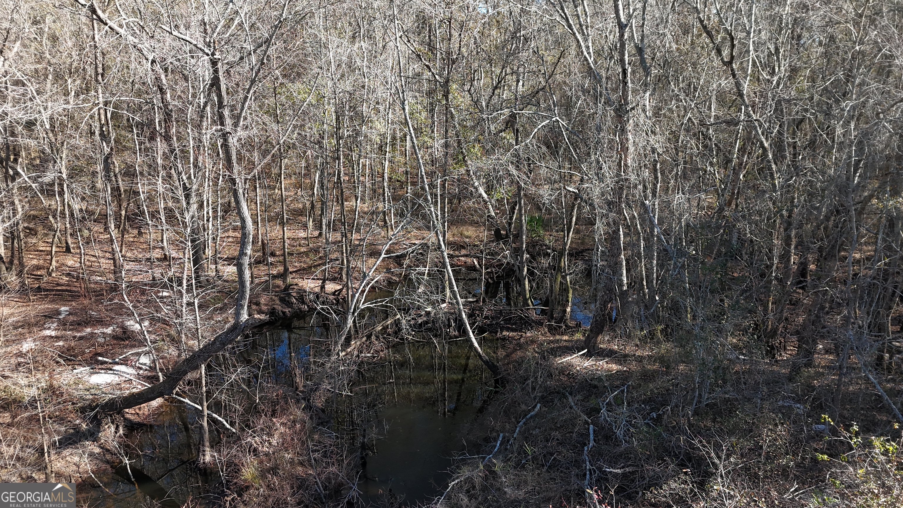 60 Anderson Road Claxton, GA 30417 - Photo 4 of 5