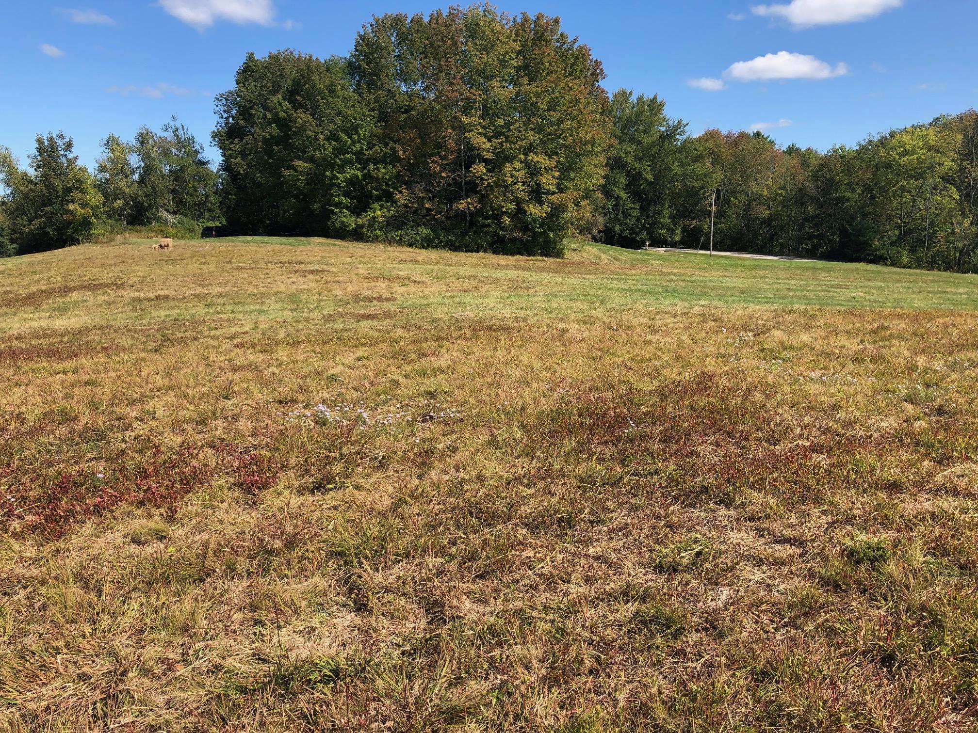 Lot 41 Dennett Road Hollis Center, ME 04042 - Photo 1 of 12 IMG_6353