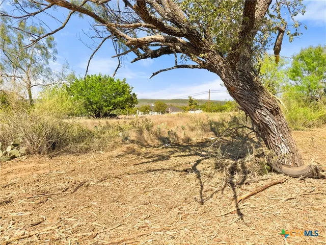 $47,500 | 1133 County Road 118, Burnet, TX 78611