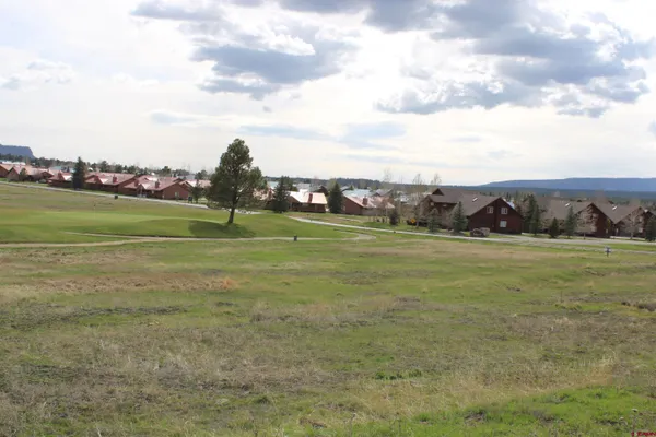 a view of a field with an ocean