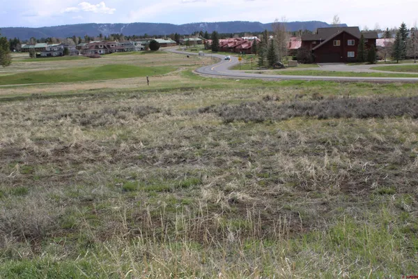 a view of a grassy area with an ocean
