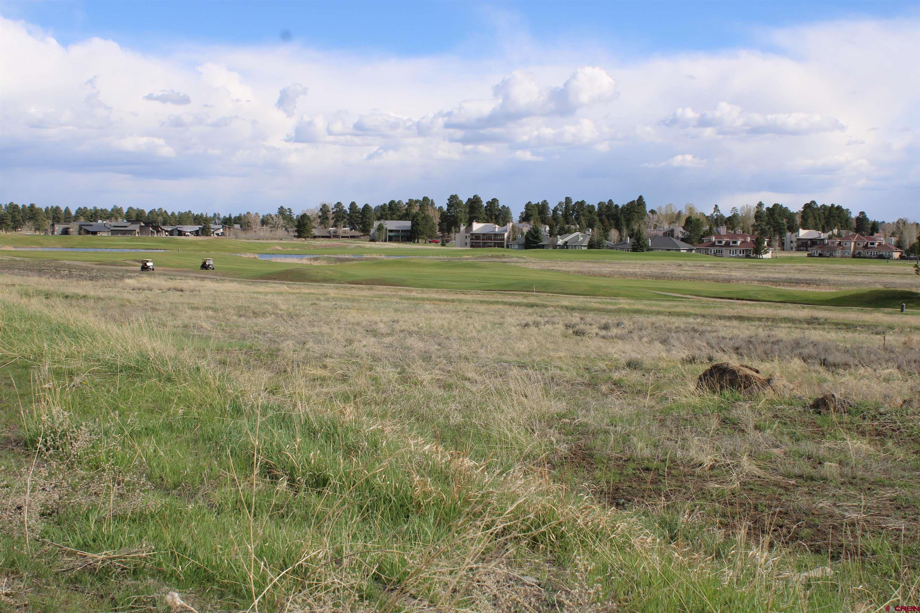 1631 Park Avenue Pagosa Springs, CO 81147 - Photo 15 of 26 a view of a lake with houses in the background
