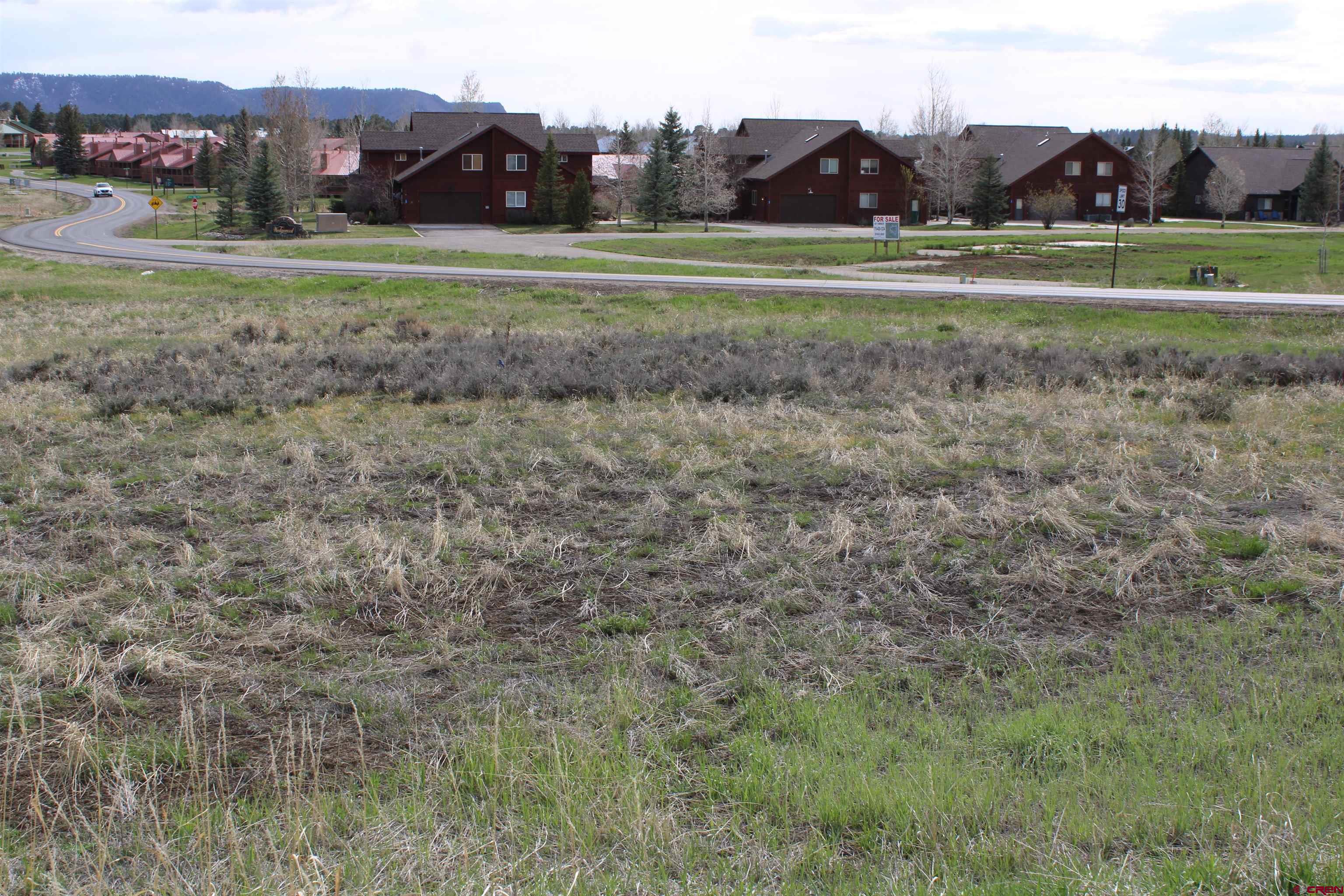 1631 Park Avenue Pagosa Springs, CO 81147 - Photo 17 of 26 a view of a grassy field with an trees