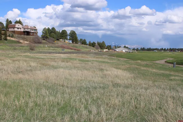 a view of a town with big trees
