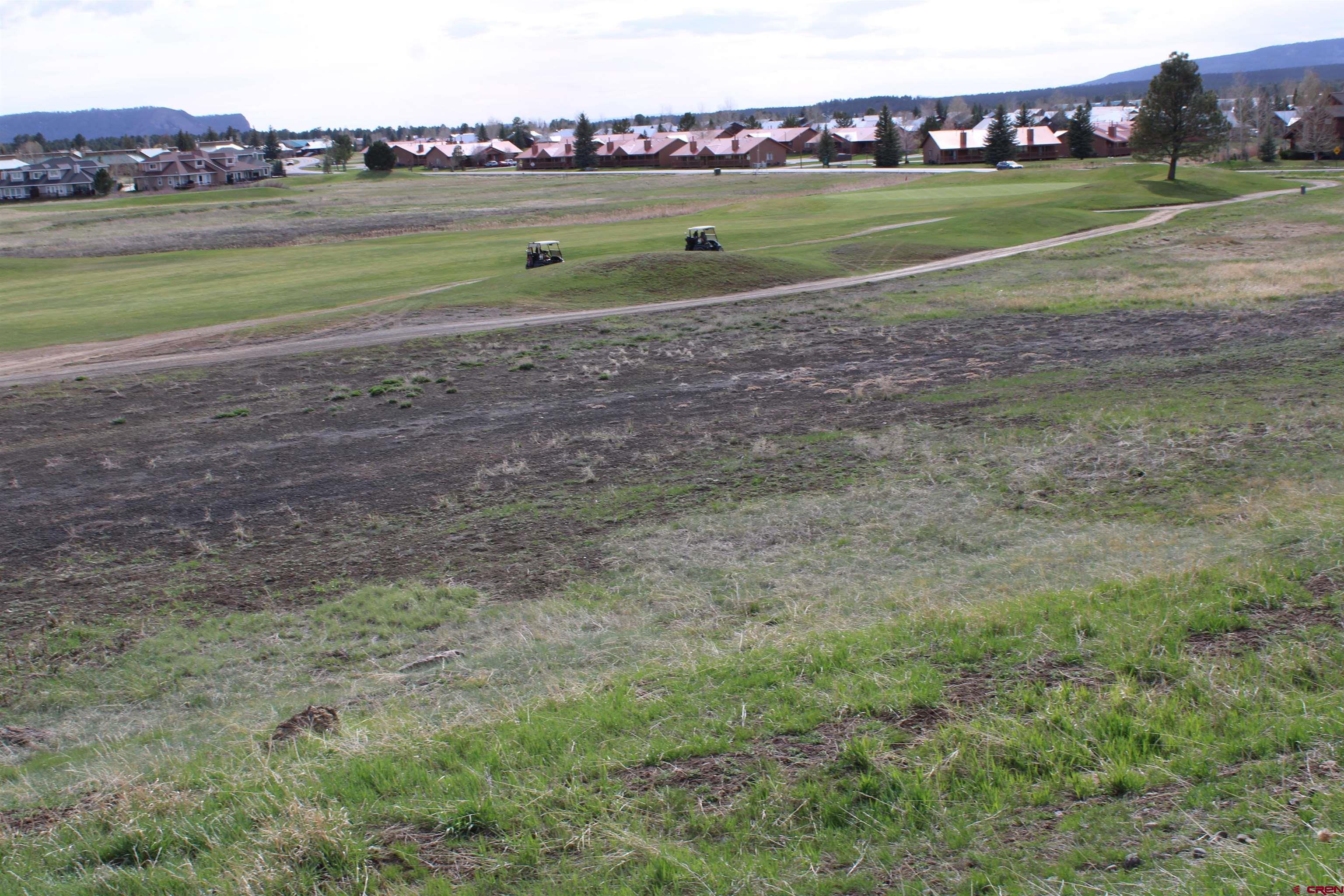 1631 Park Avenue Pagosa Springs, CO 81147 - Photo 23 of 26 a view of a field with a building in the background