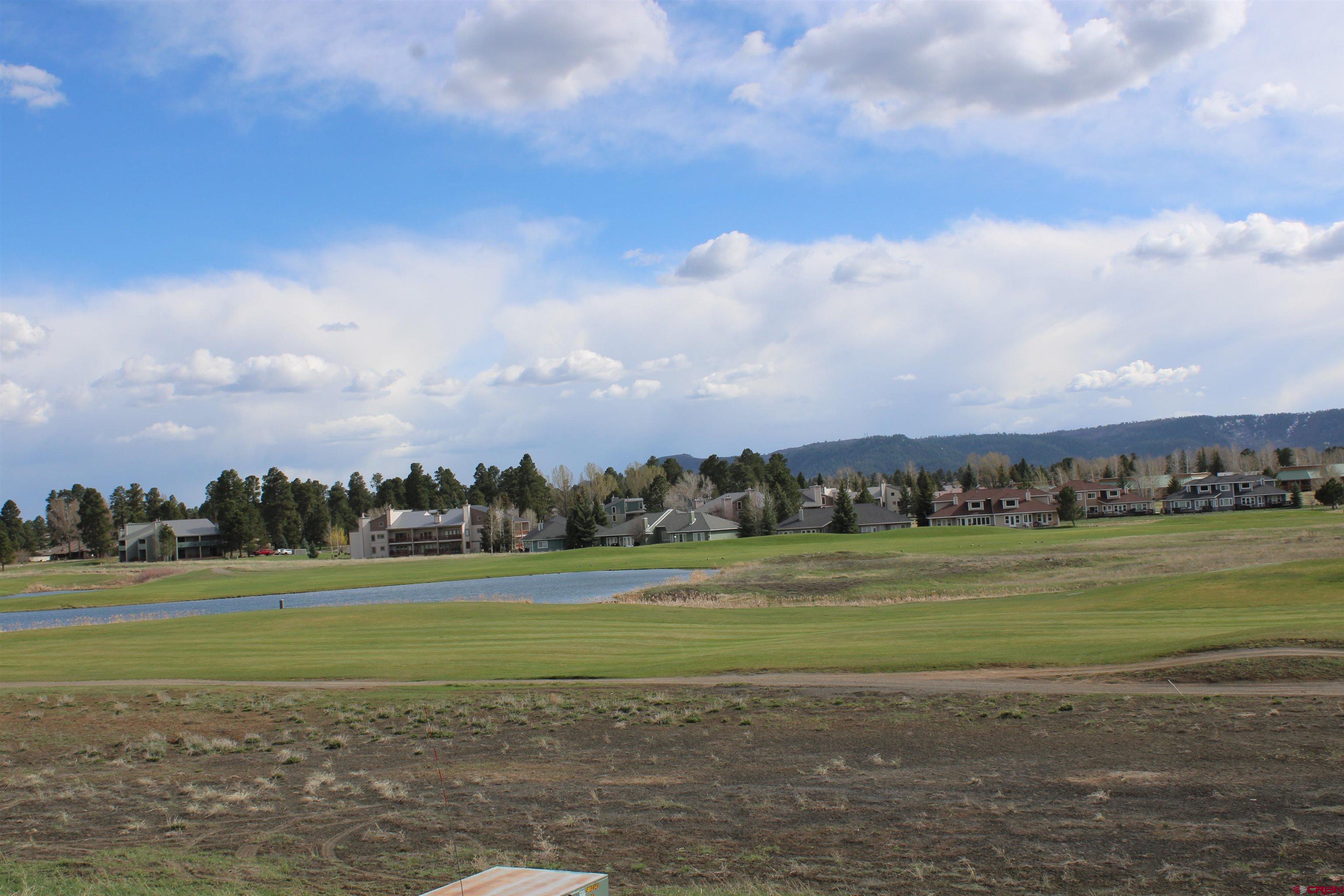 1631 Park Avenue Pagosa Springs, CO 81147 - Photo 25 of 26 a view of a big room with a big yard and large trees
