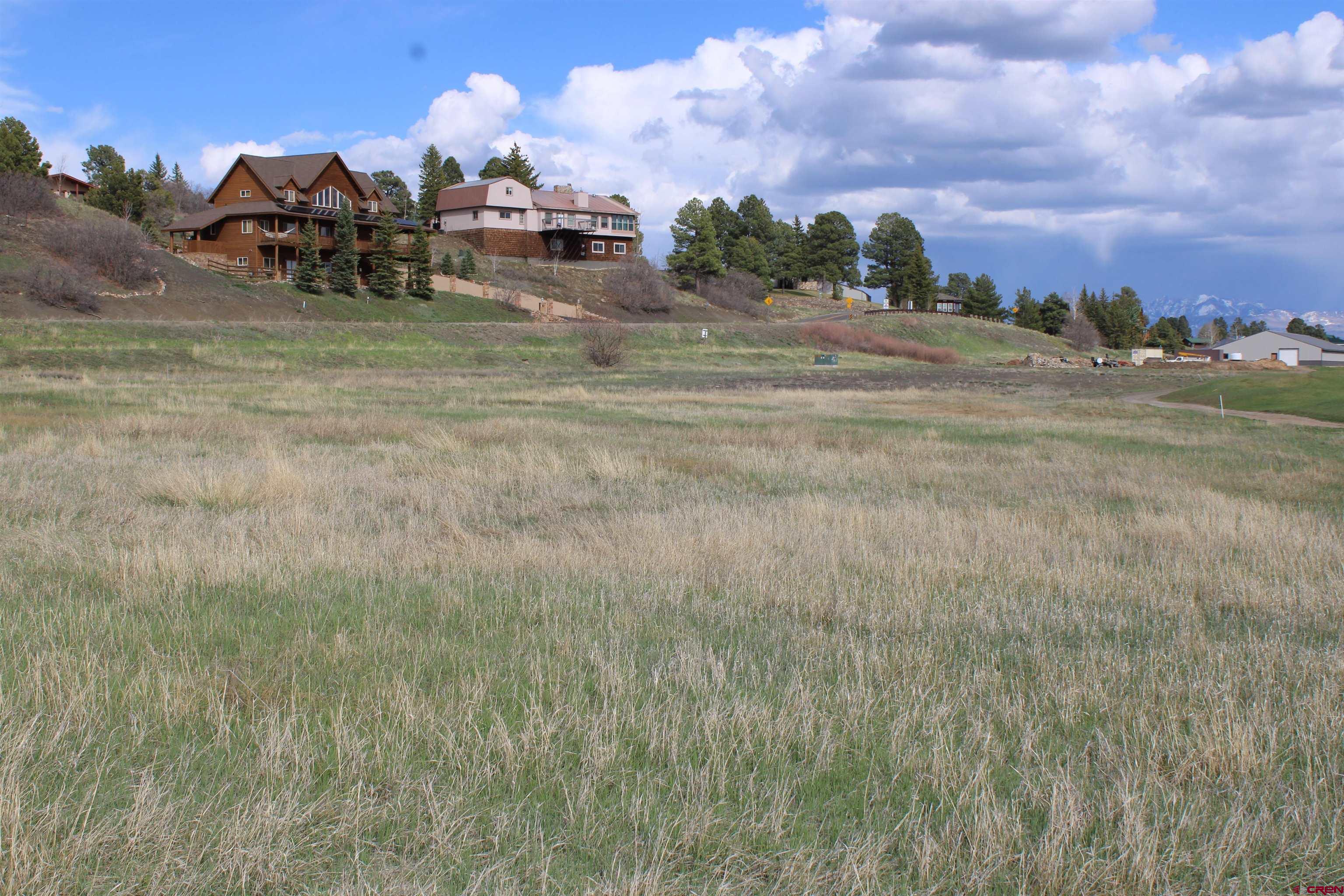 1631 Park Avenue Pagosa Springs, CO 81147 - Photo 26 of 26 a view of a town with big trees