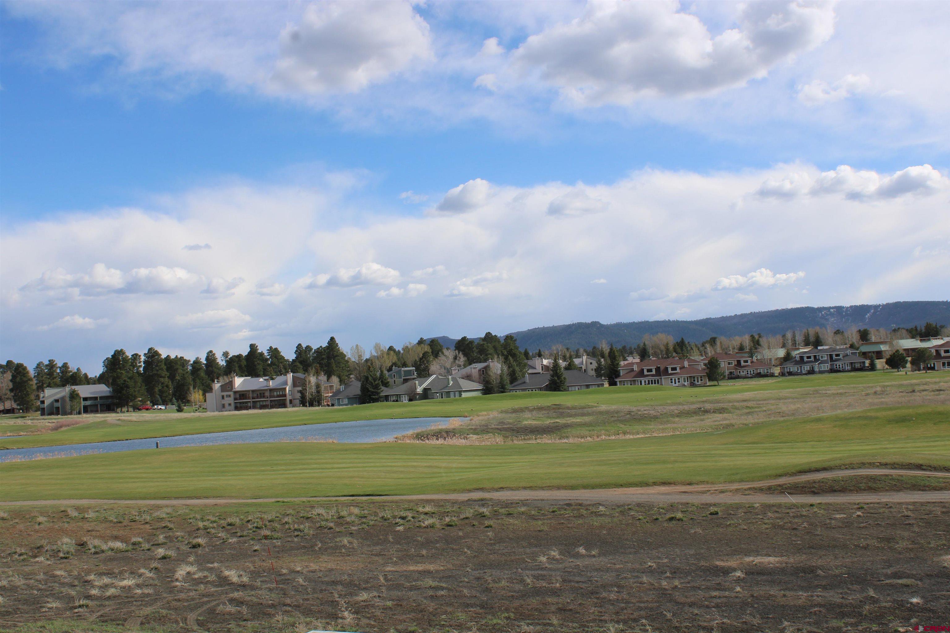 1631 Park Avenue Pagosa Springs, CO 81147 - Photo 5 of 26 a view of a big and big yard