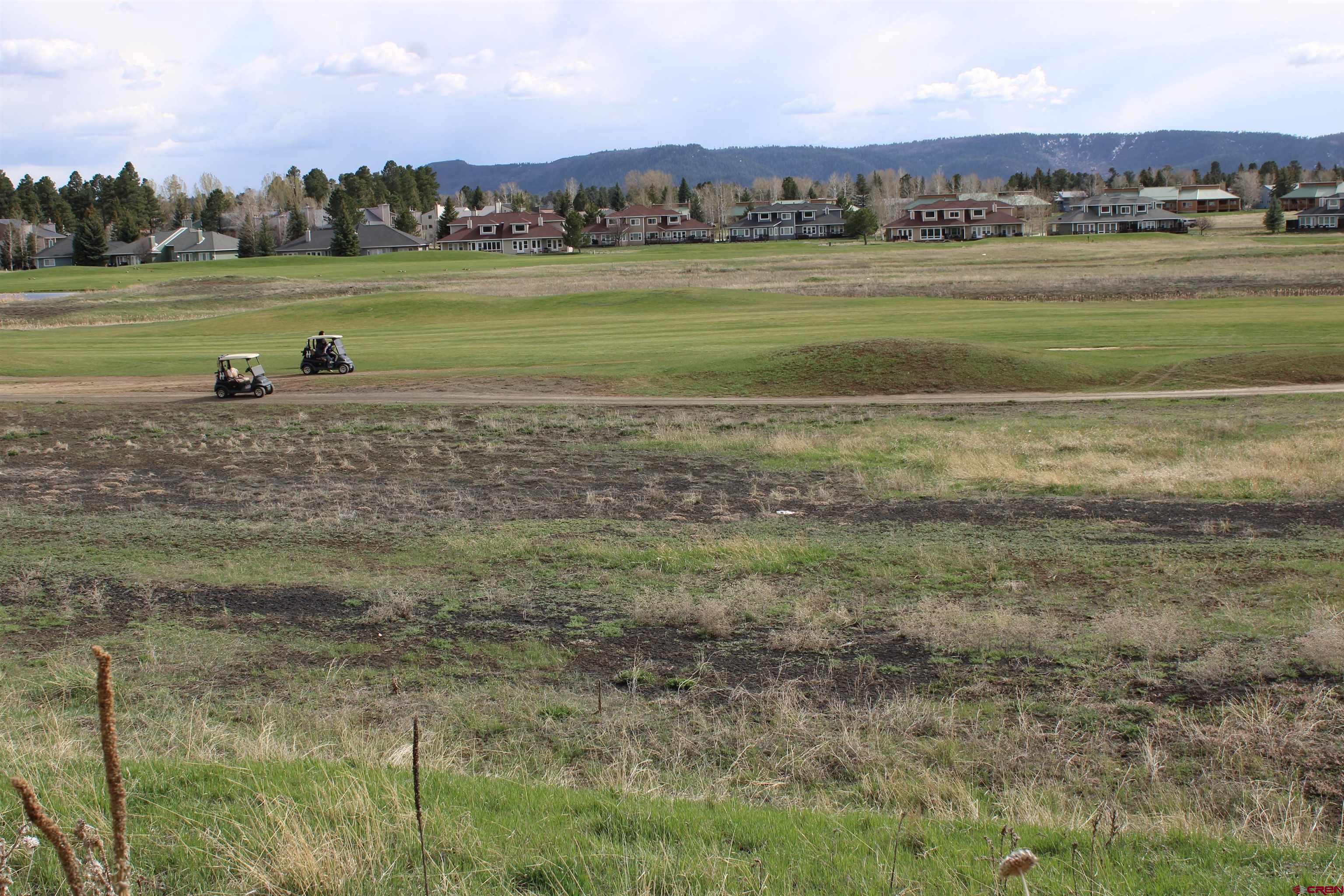 1631 Park Avenue Pagosa Springs, CO 81147 - Photo 6 of 26 a view of lake with houses