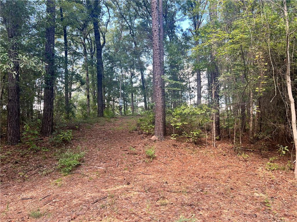 131 Bud Ates Road Pollock, LA 71467 - Photo 1 of 4 Gallery Image 1
