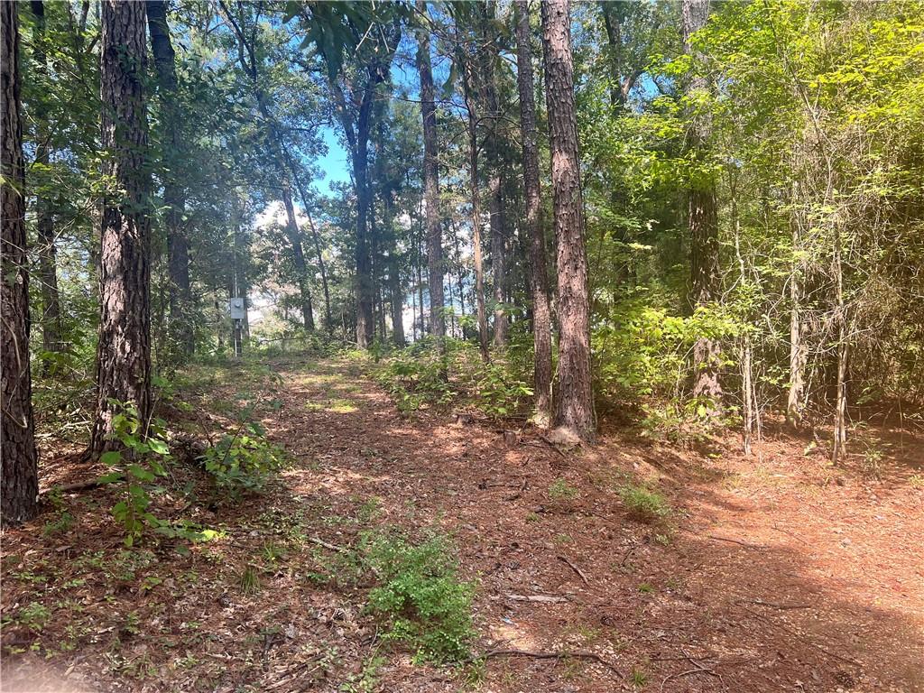 131 Bud Ates Road Pollock, LA 71467 - Photo 2 of 4 Gallery Image 2