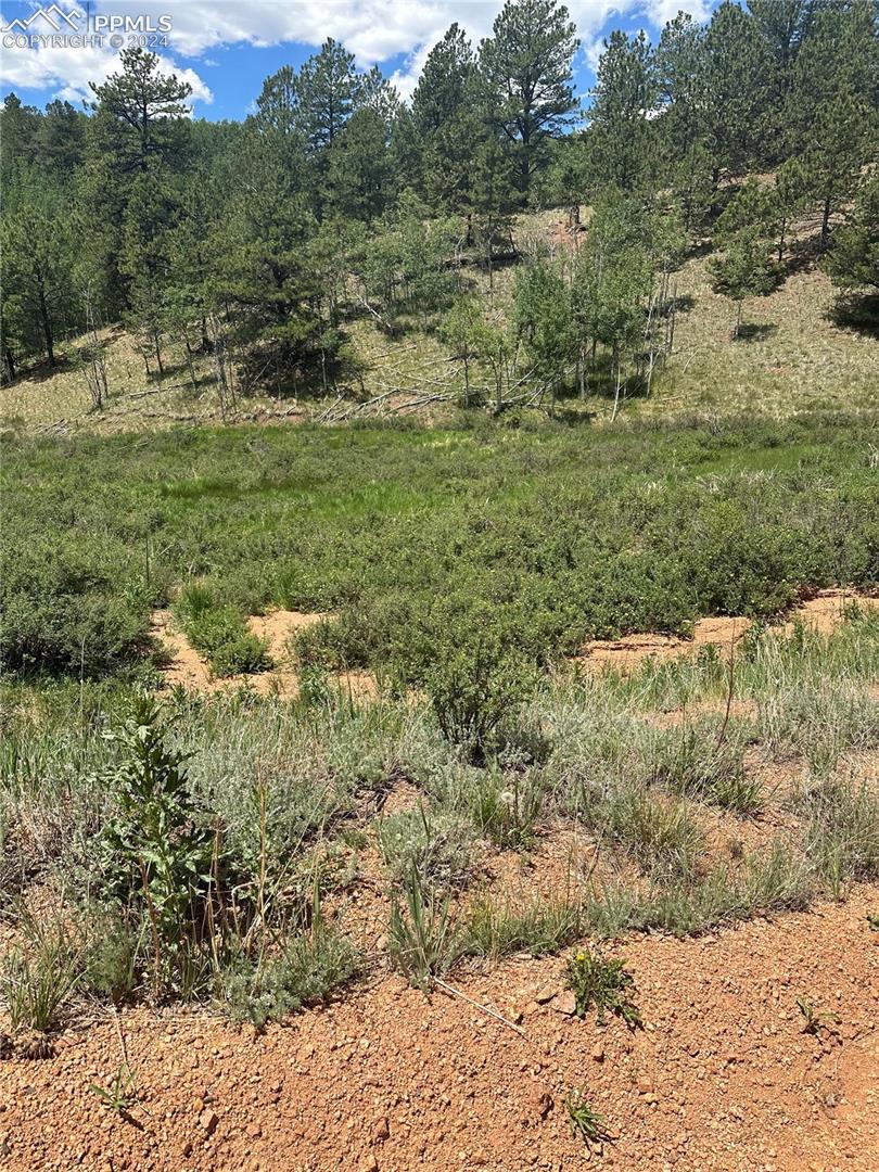 634 Valley Road Divide, CO 80814 - Photo 1 of 5 Mountain view with a rural view