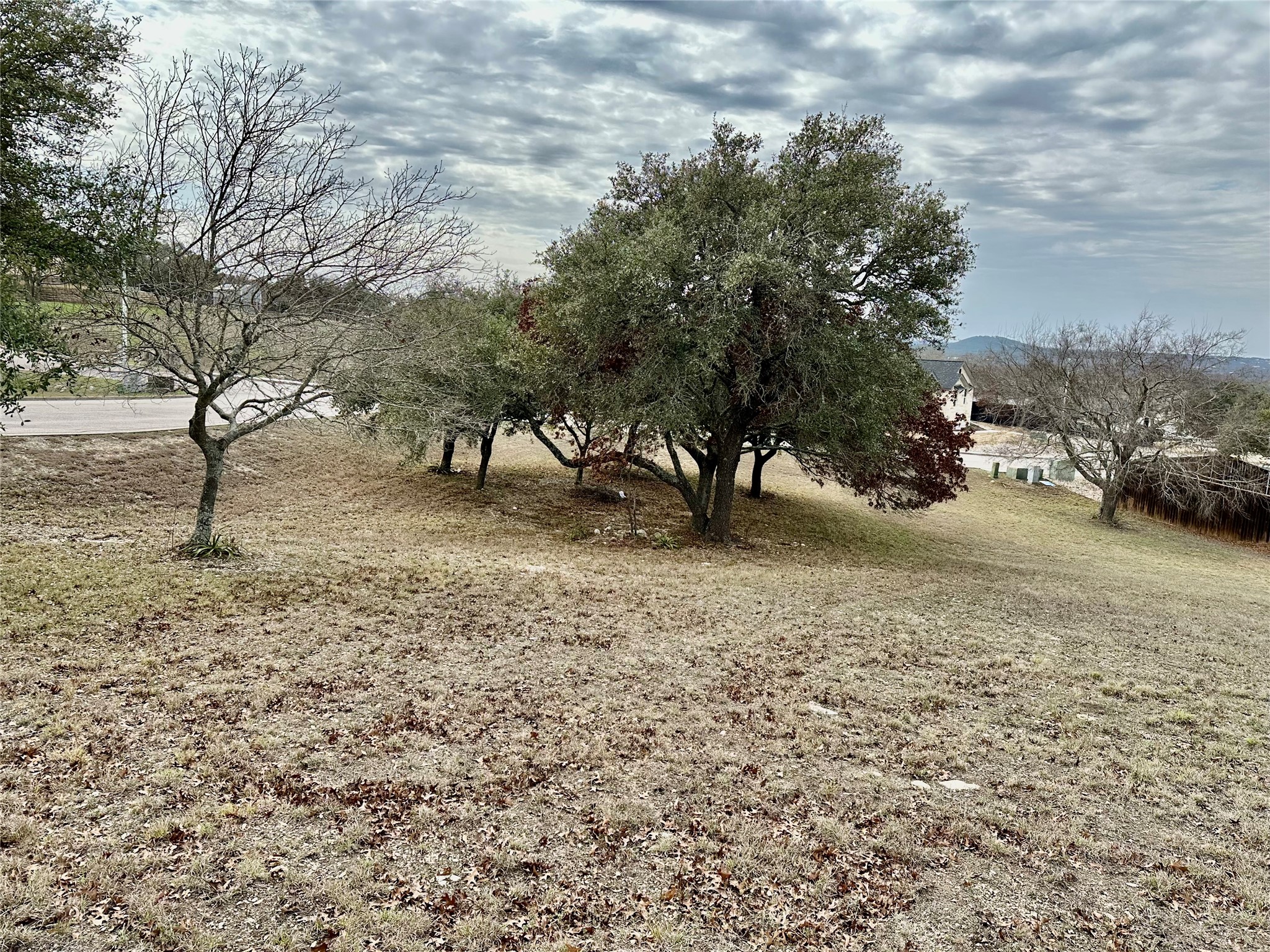 Lot 24 Andy's Point Burnet, TX 78611 - Photo 4 of 15