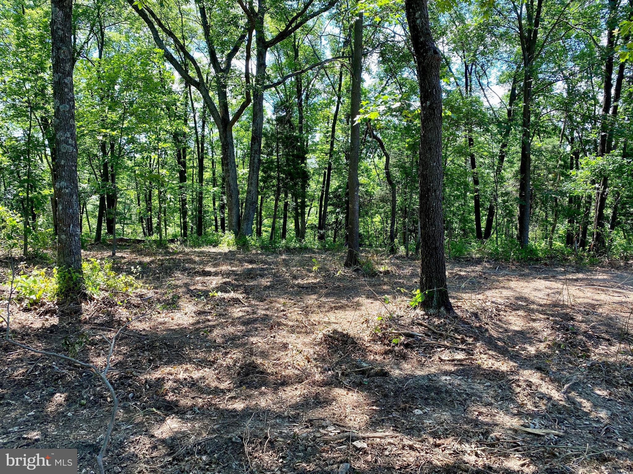 113 Meadow Way Winchester, VA 22602 - Photo 4 of 5