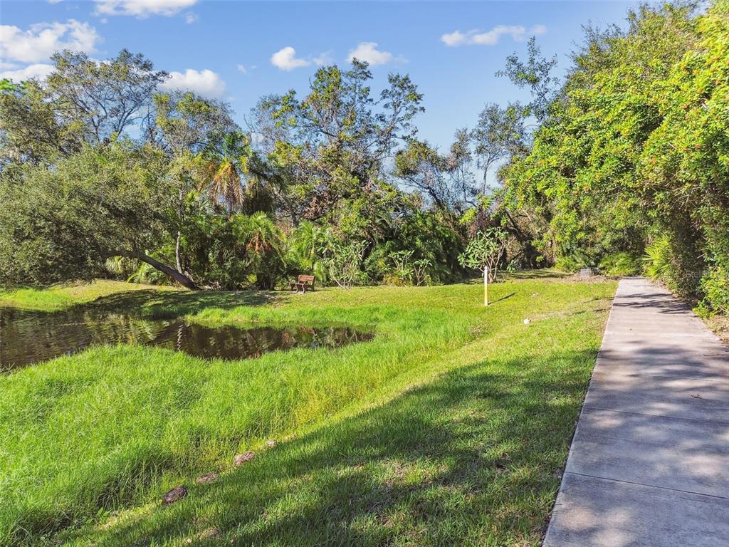 701 Enterprise Road East, Unit 100 Safety Harbor, FL 34695 - Photo 93 of 96 a view of yard with swimming pool and green space