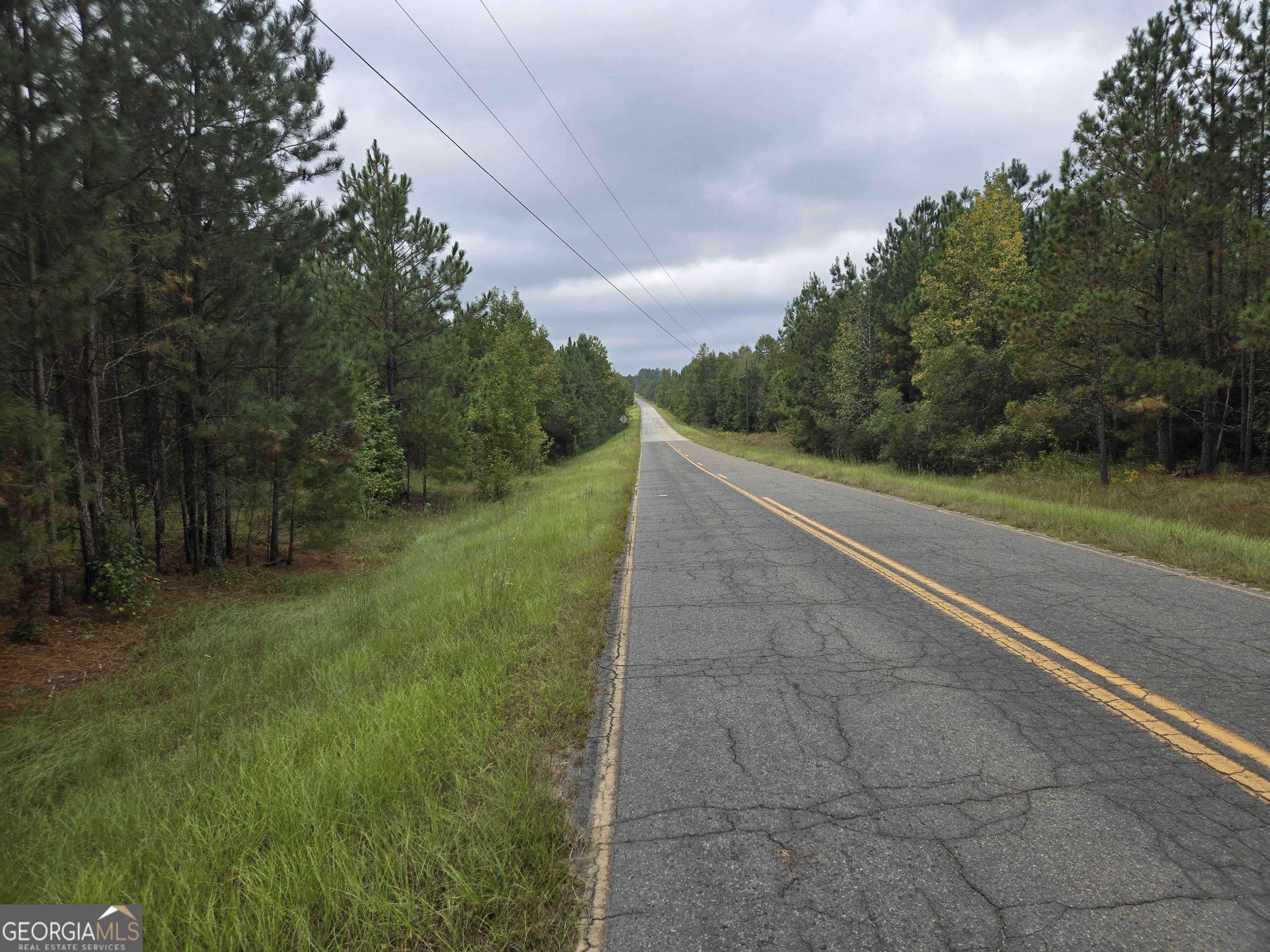 400 Alton Lawson Road Adrian, GA 31002 - Photo 4 of 10 a view of a yard with plants and a trees