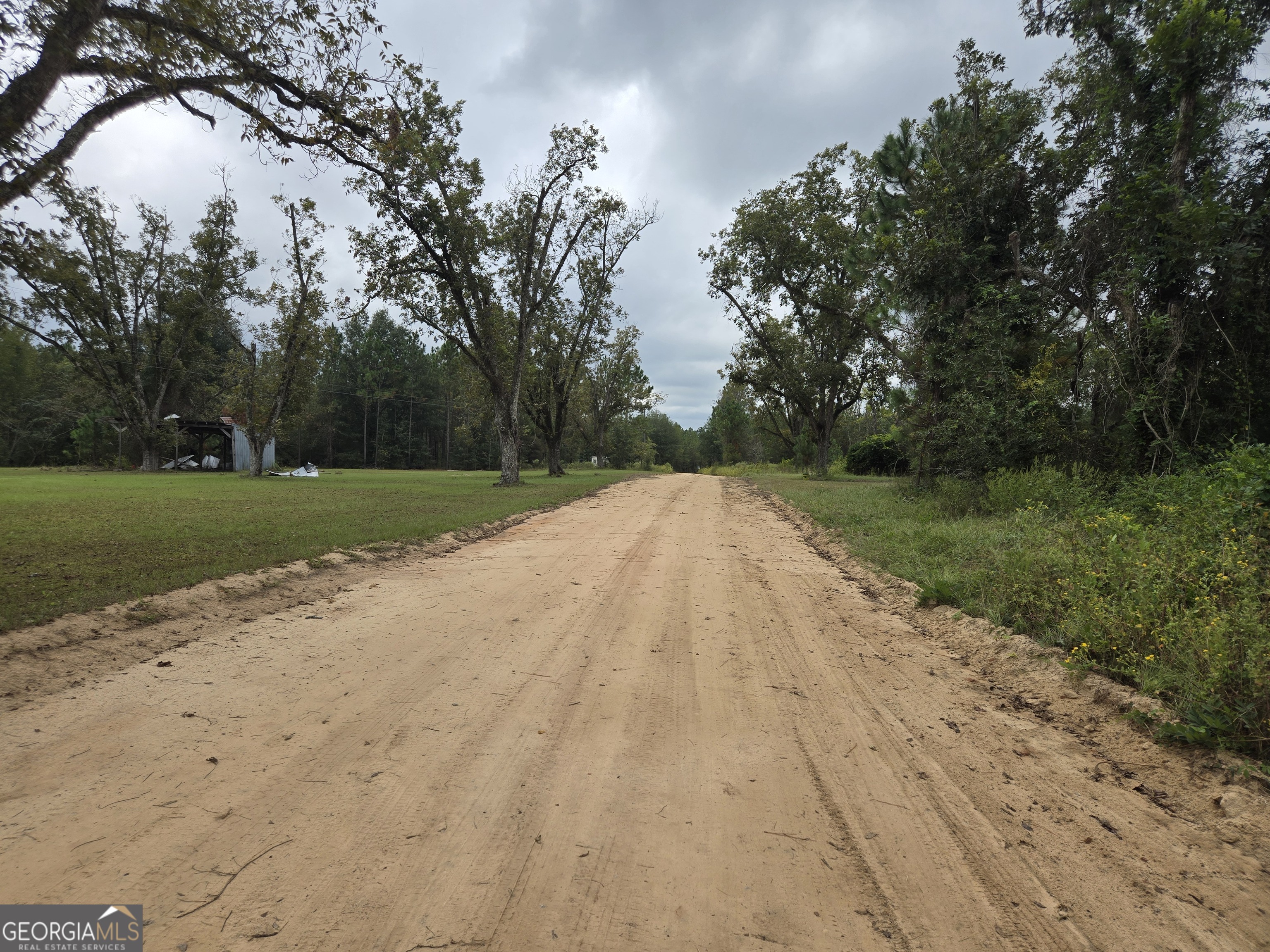 400 Alton Lawson Road Adrian, GA 31002 - Photo 5 of 10 a view of backyard with green space