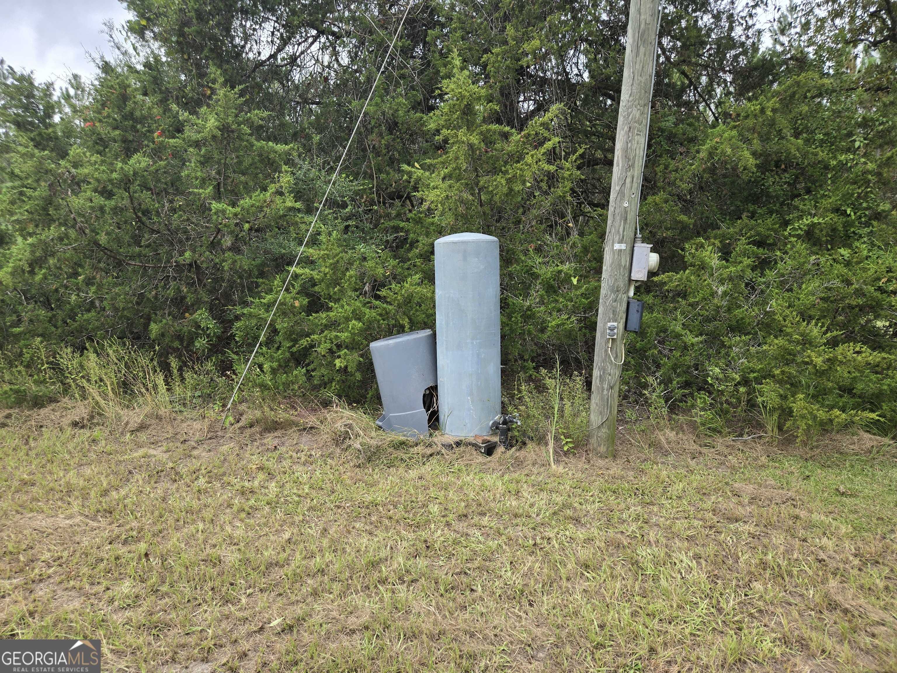 400 Alton Lawson Road Adrian, GA 31002 - Photo 9 of 10 a view of a room with a trees