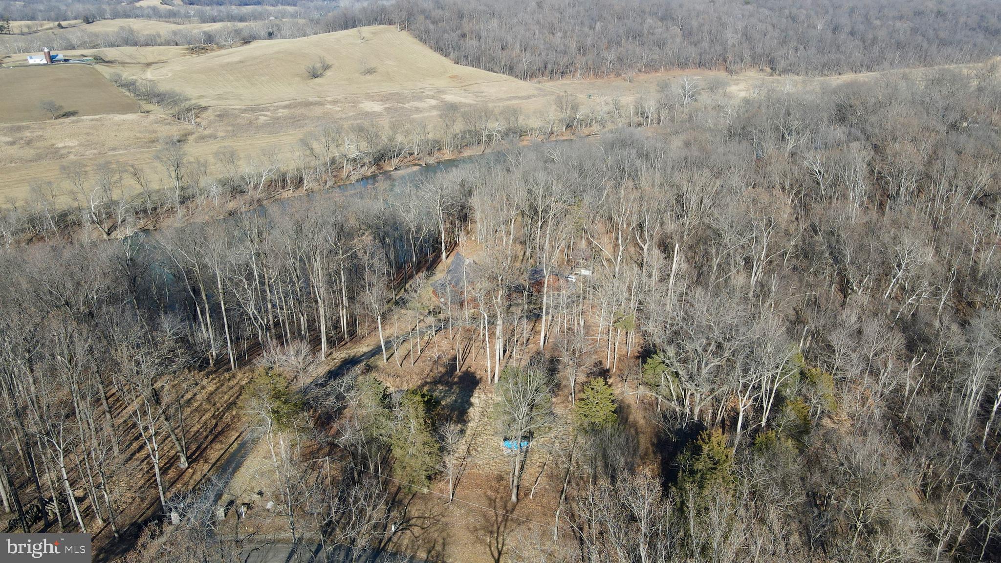 3444 Calmes Neck Lane Boyce, VA 22620 - Photo 34 of 66 a view of a dry yard