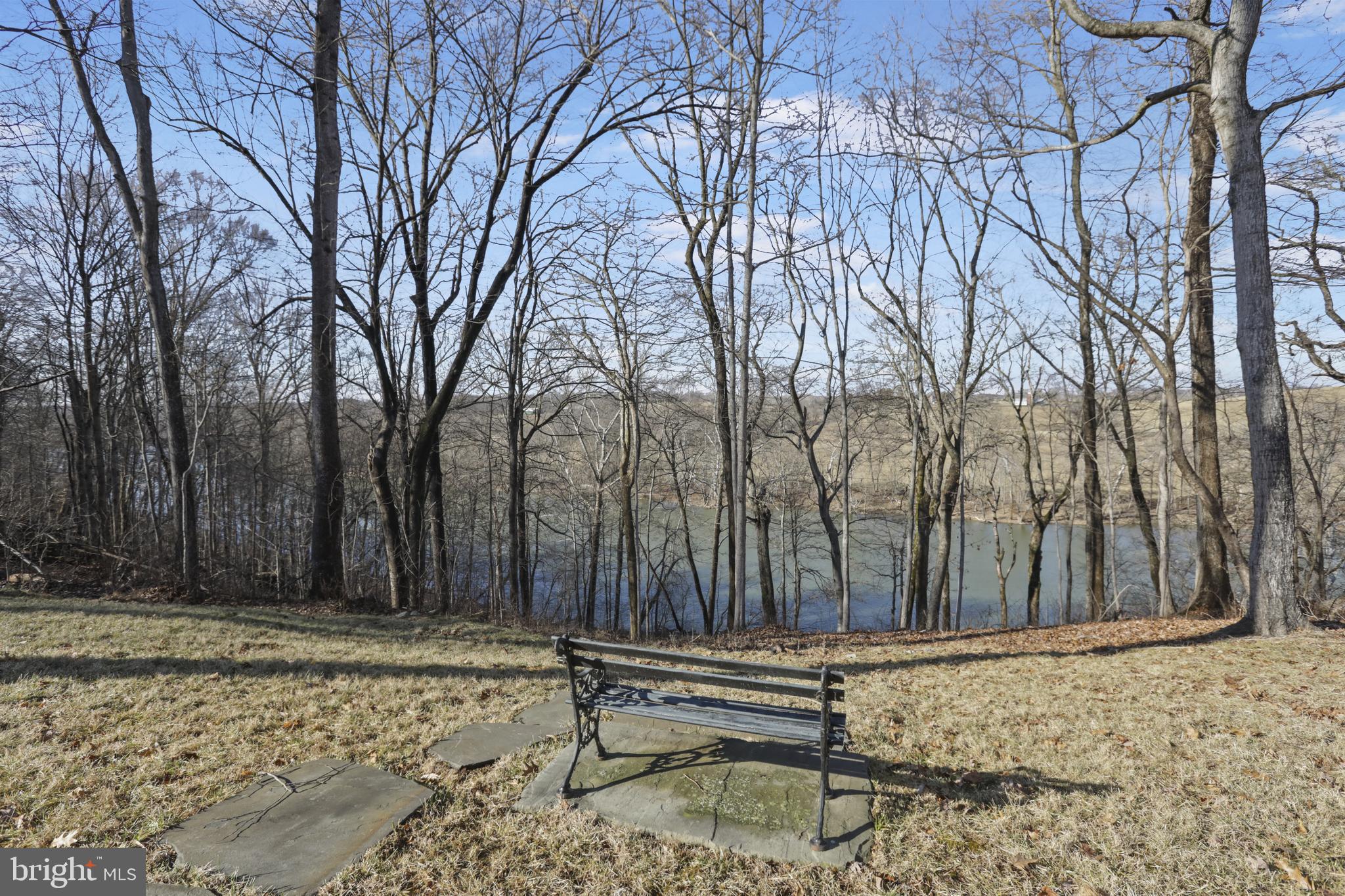 3444 Calmes Neck Lane Boyce, VA 22620 - Photo 4 of 66 a wooden bench sitting in middle of a yard