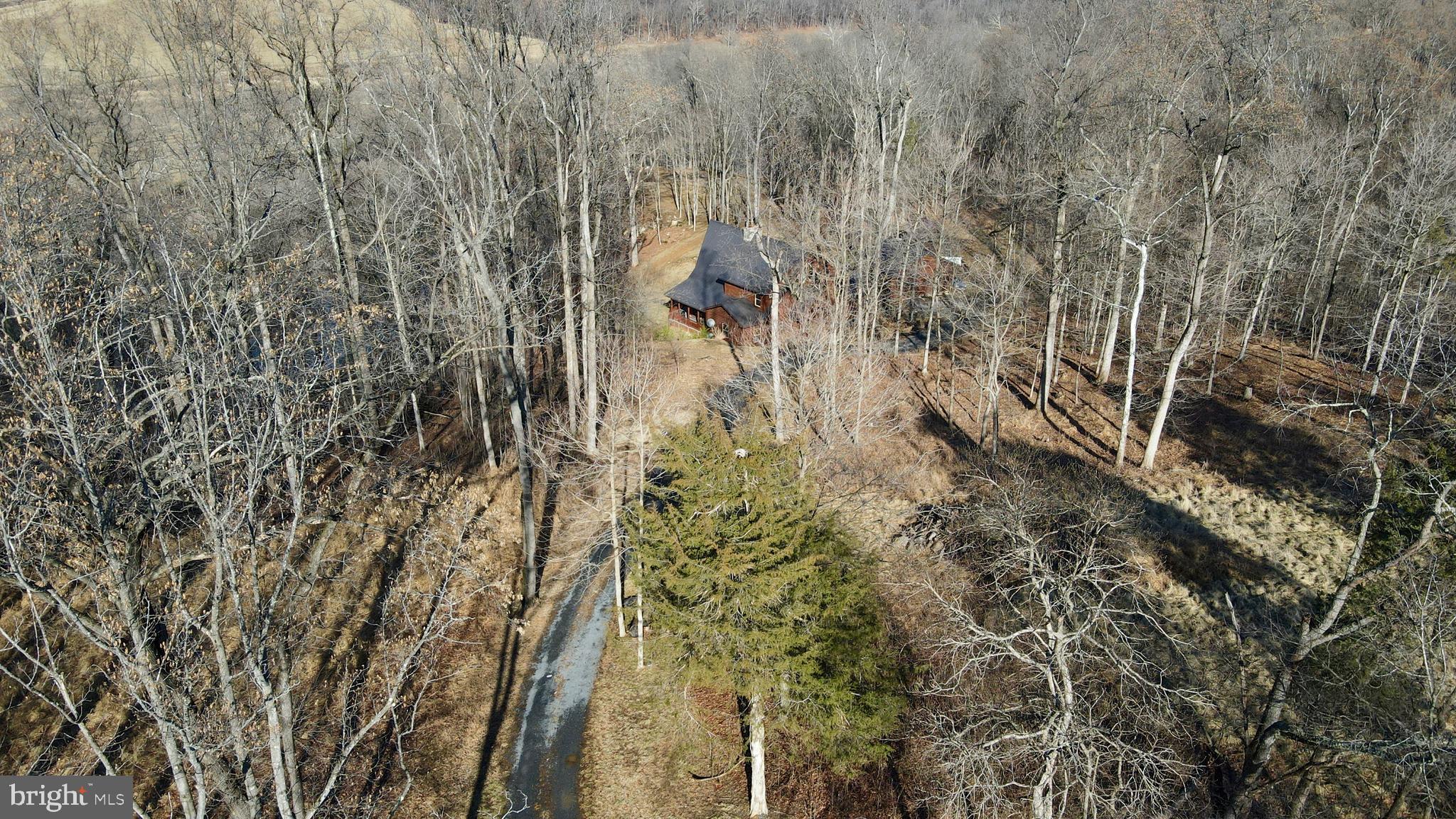 3444 Calmes Neck Lane Boyce, VA 22620 - Photo 43 of 66 a aerial view of a house with a yard