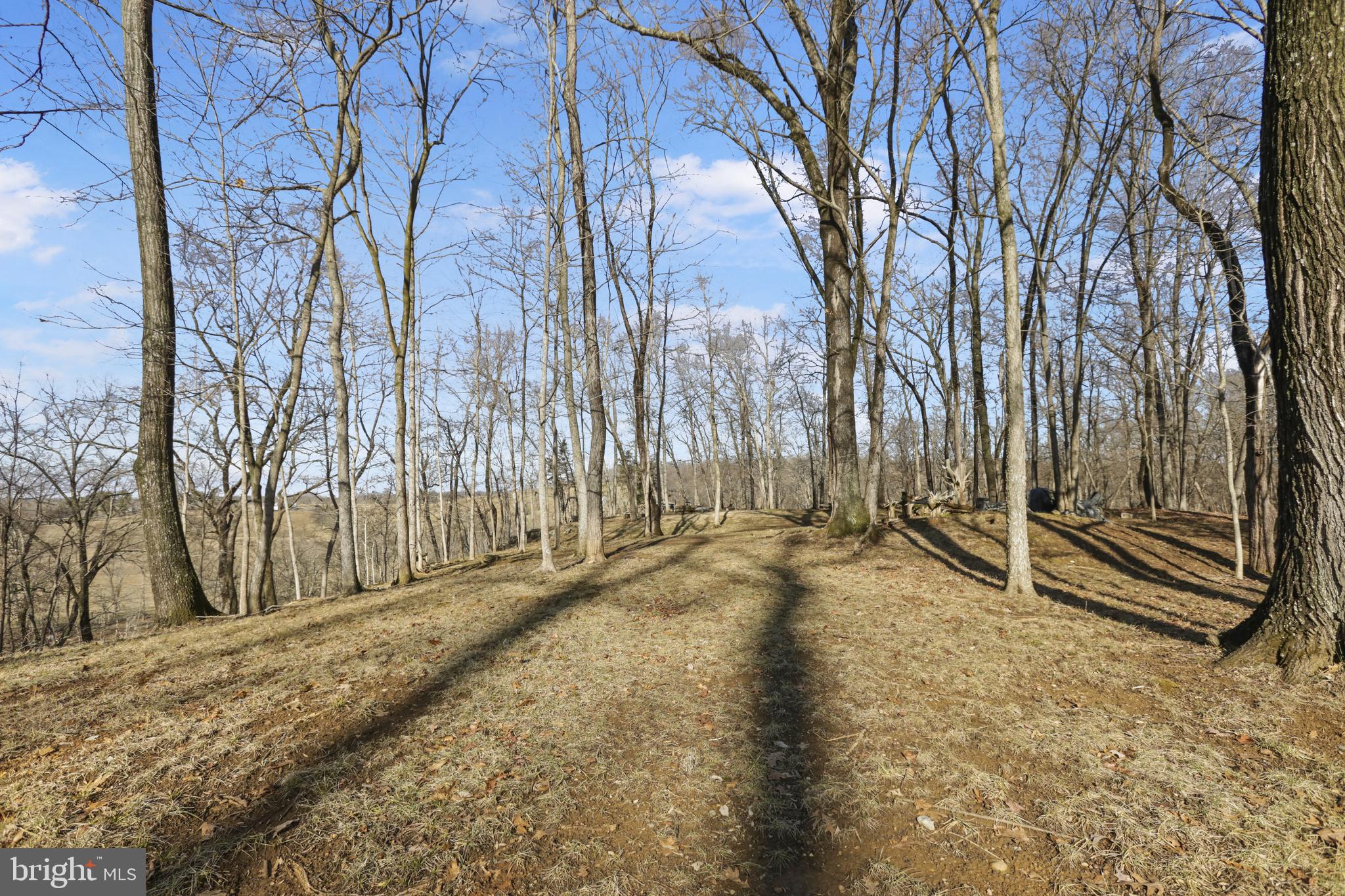 3444 Calmes Neck Lane Boyce, VA 22620 - Photo 58 of 66 a view of a yard with trees and wooden fence