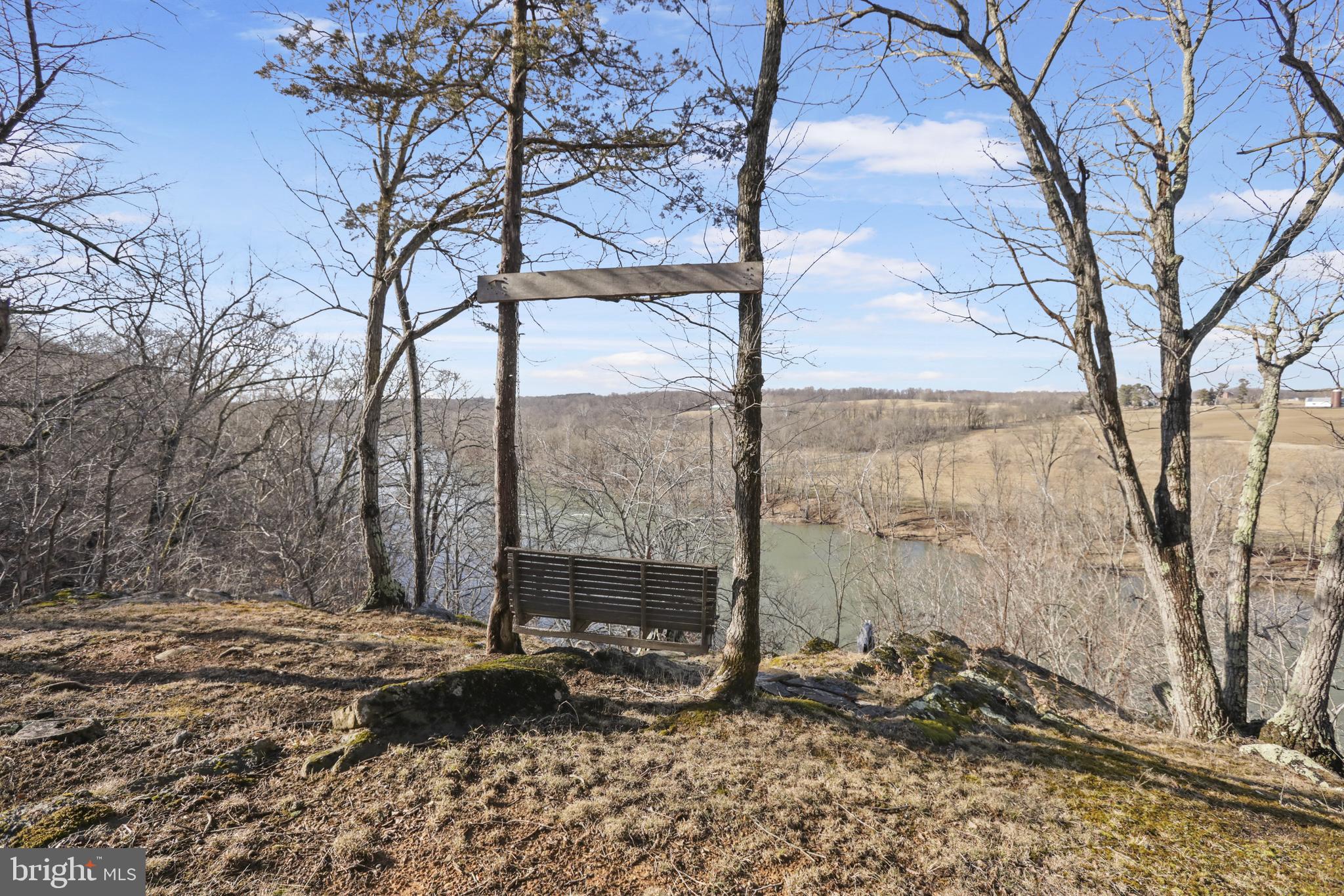 3444 Calmes Neck Lane Boyce, VA 22620 - Photo 61 of 66 a backyard of a house with a large tree