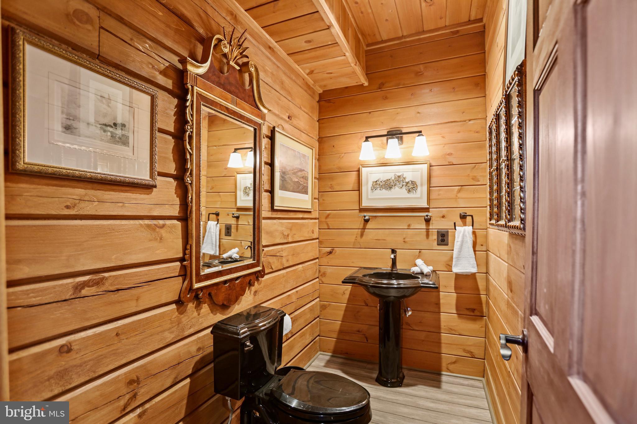 3444 Calmes Neck Lane Boyce, VA 22620 - Photo 10 of 66 a bathroom with a sink and a mirror