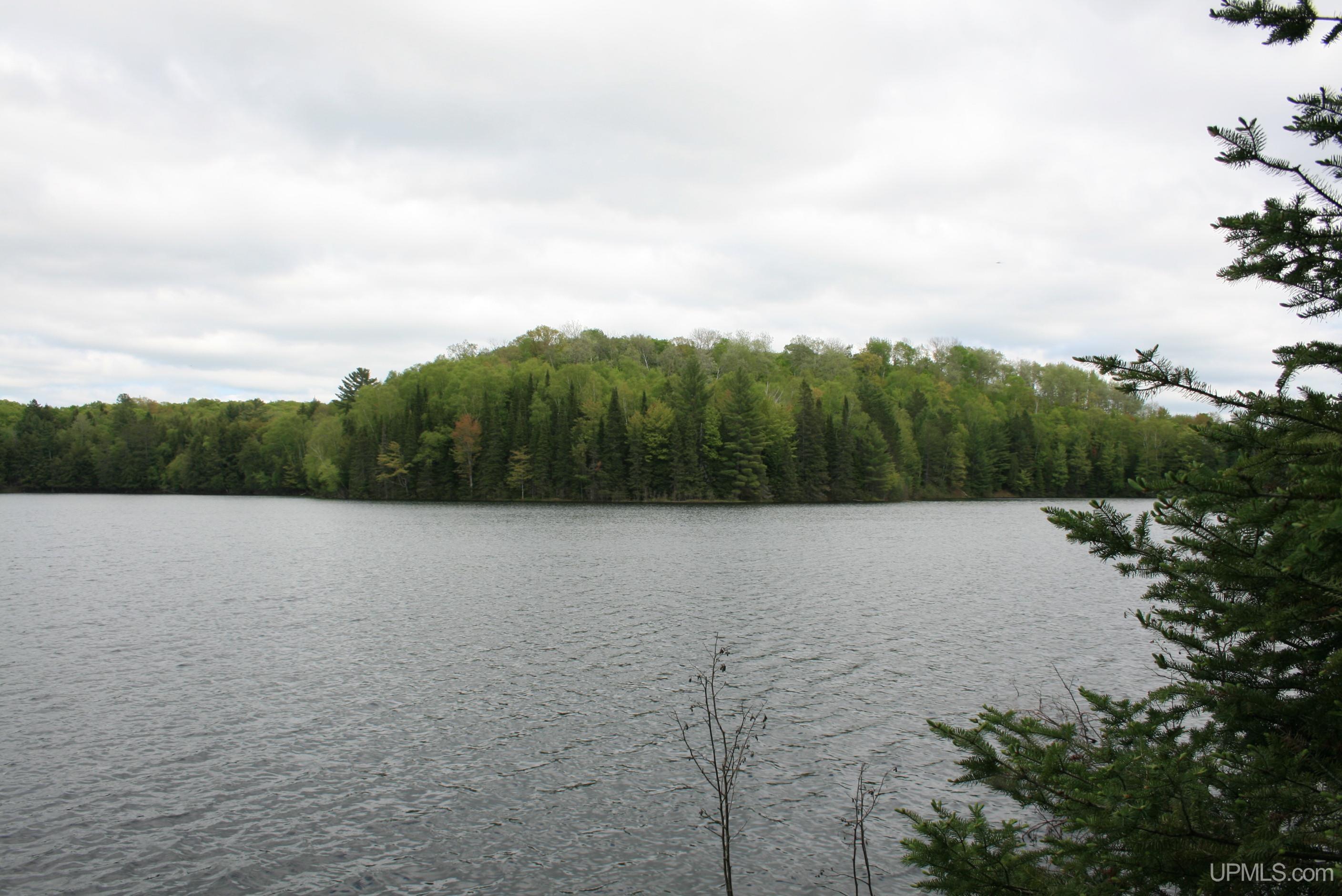 Tbd Sucker Lake Road Watersmeet, MI 49969 - Photo 19 of 24