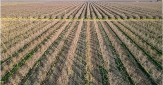 $2,679,370 | 17015 Leonard Avenue, Wasco, CA 93280