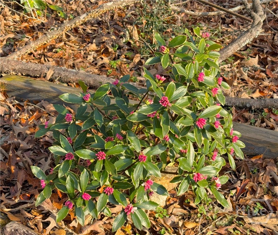 134 Bent Tree Drive Athens, GA 30606 - Photo 51 of 57