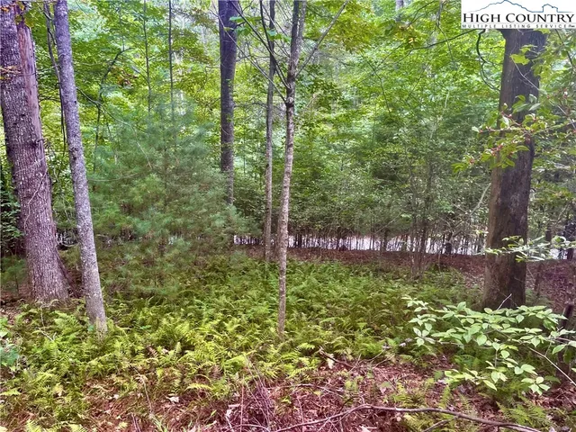 a sign that is sitting in front of a tree