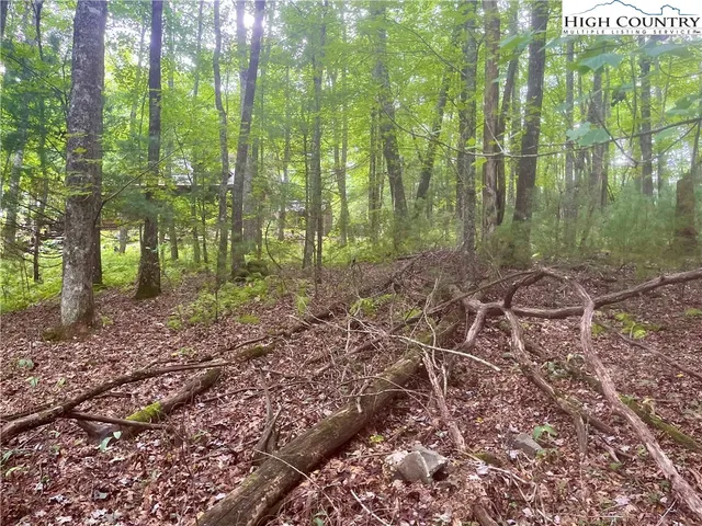 a view of outdoor space with lots of trees