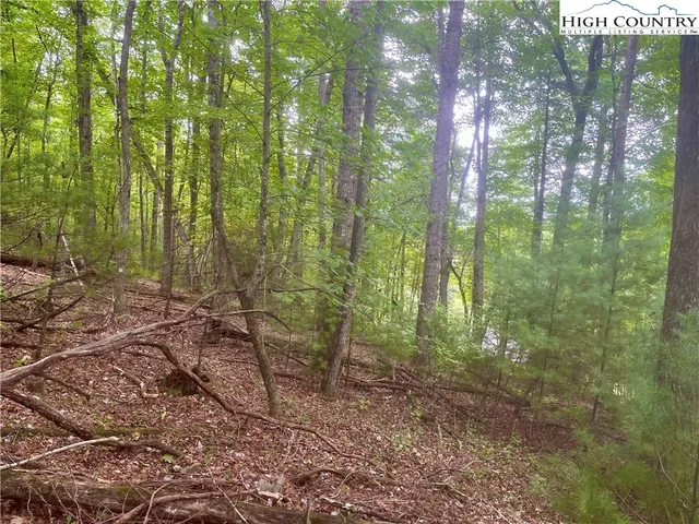 a view of outdoor space and trees