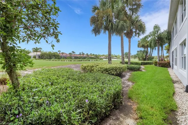 a view of a garden with palm trees